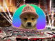 Solana Meme Coin Dogwifhat Has No Deal With Las Vegas Sphere, Venue Says
