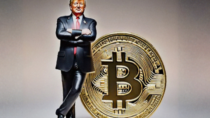 This Week in Bitcoin: New High Price, Multi-Million Dollar Projections, and Trump Frees Ross Ulbricht
