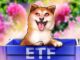 Bitwise files with SEC for spot Dogecoin ETF