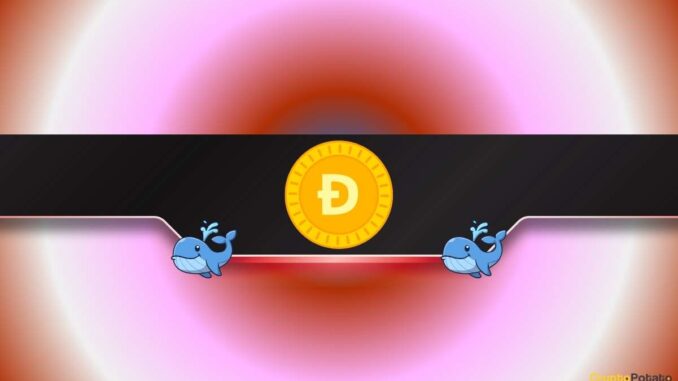 More Pain Ahead for DOGE? More Pain Ahead for DOGE?