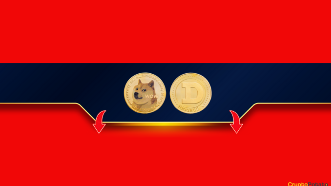 Is This the Final Chapter for Dogecoin's Bull Run? Assessing Musk's Recent Comments