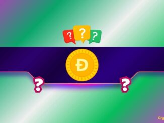 What Do Binance Traders Know About Dogecoin (DOGE) That You Don't?