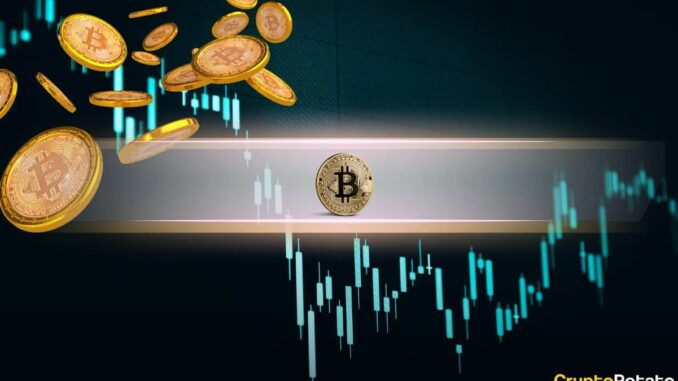 4-Year Bitcoin Cycle Is a 'Big Misunderstanding'